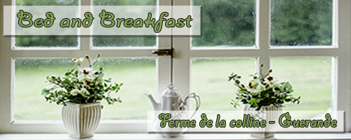 bannière bed and breakfast
